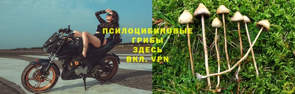 спайс Алексеевка