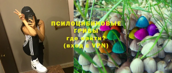 спайс Алексеевка