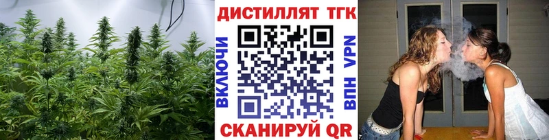 где найти   Нелидово  Дистиллят ТГК вейп 